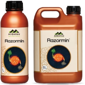 Razormin EN®