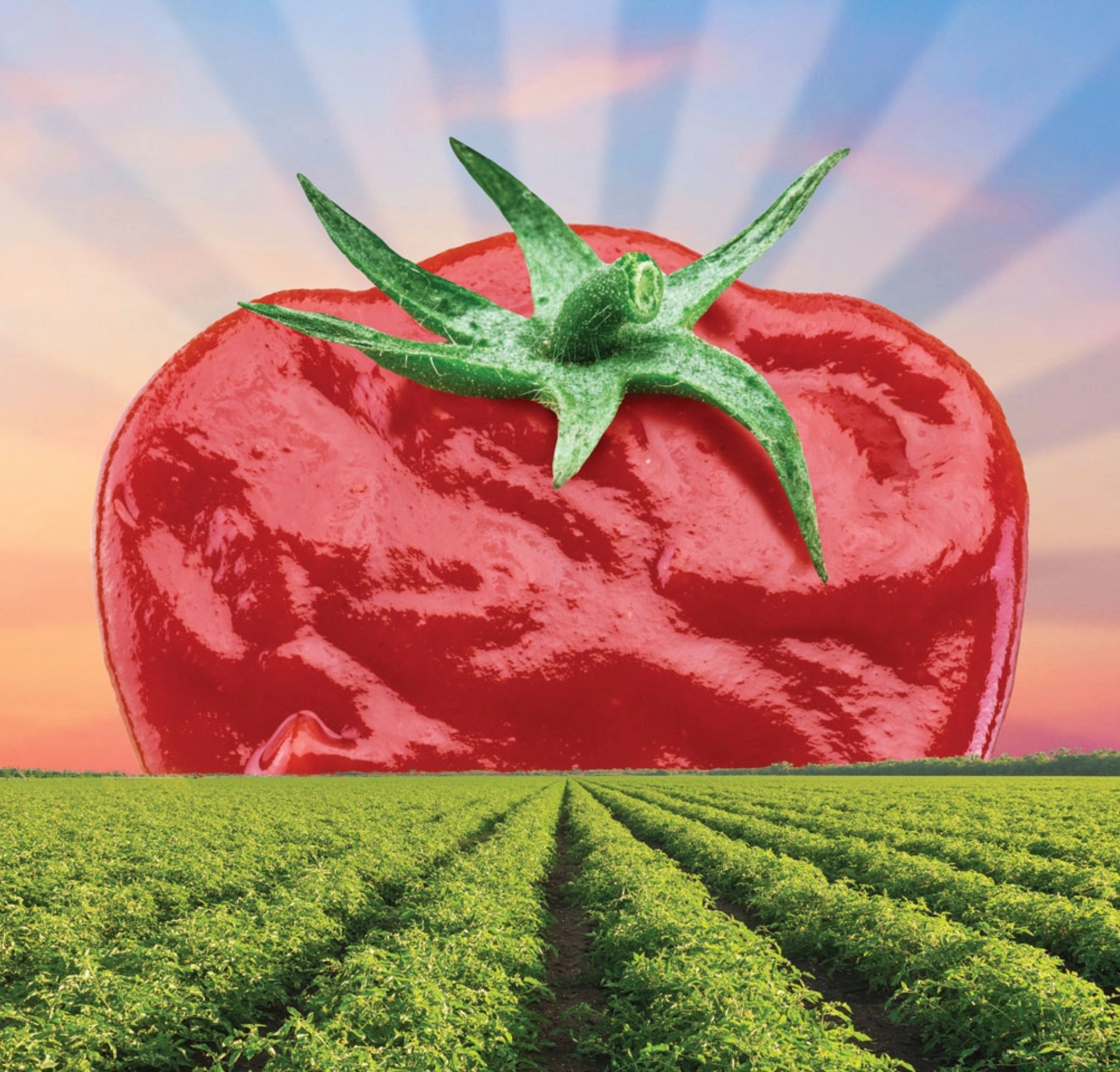 Ο Παγκόσμιος Ηγέτης στην Τομάτα!