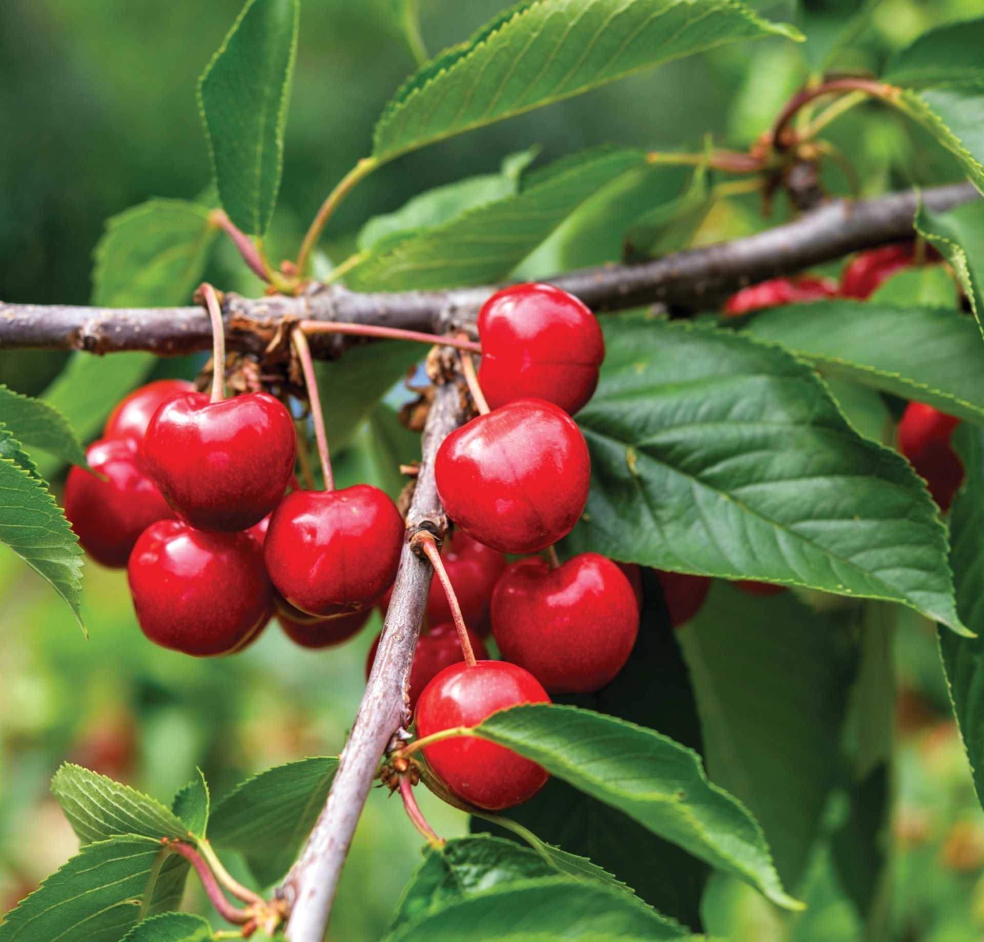 Εξειδικευμένες Λύσεις