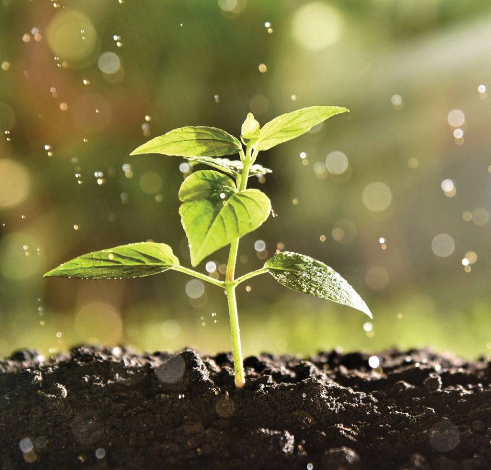 Γενική θρέψη