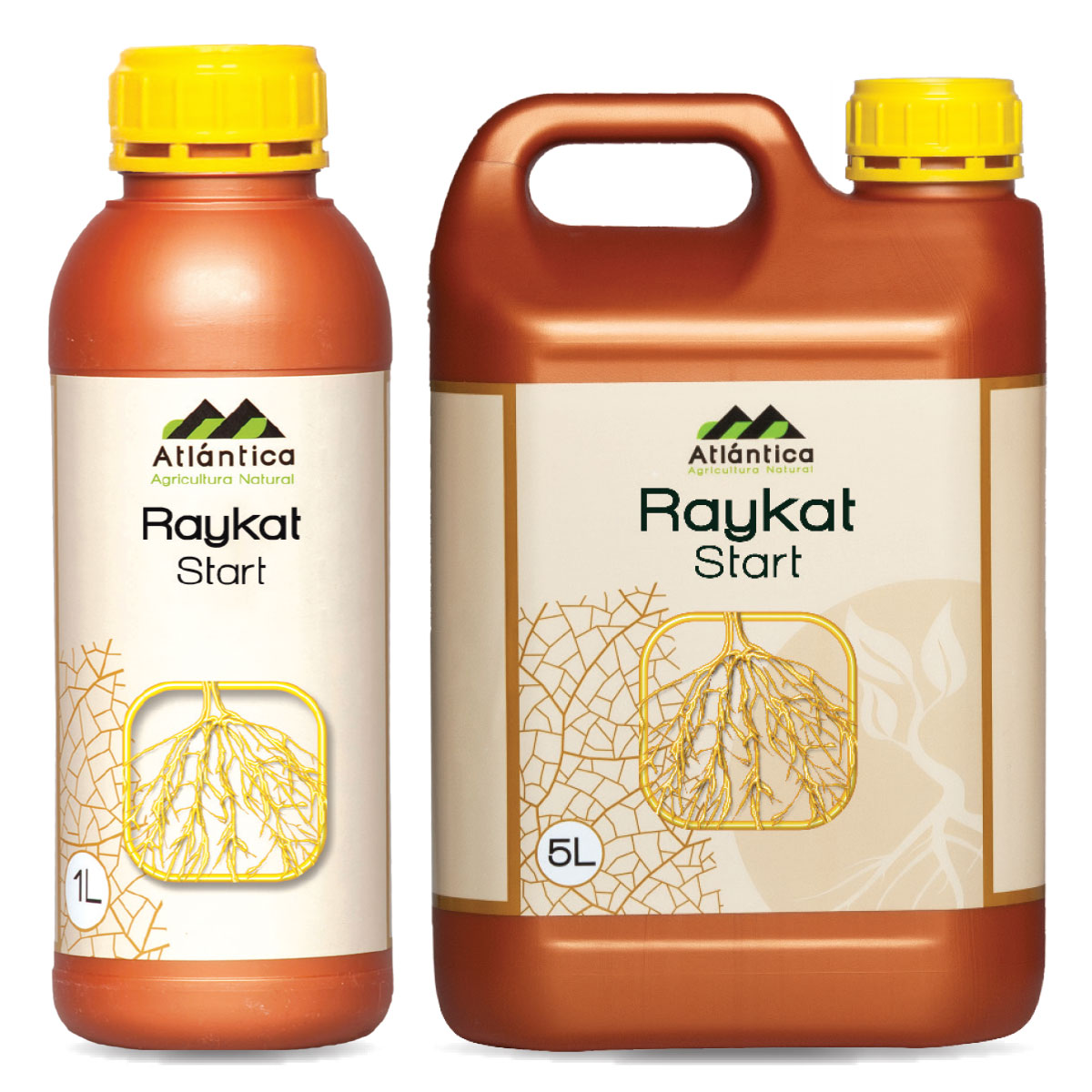 Raykat® Start