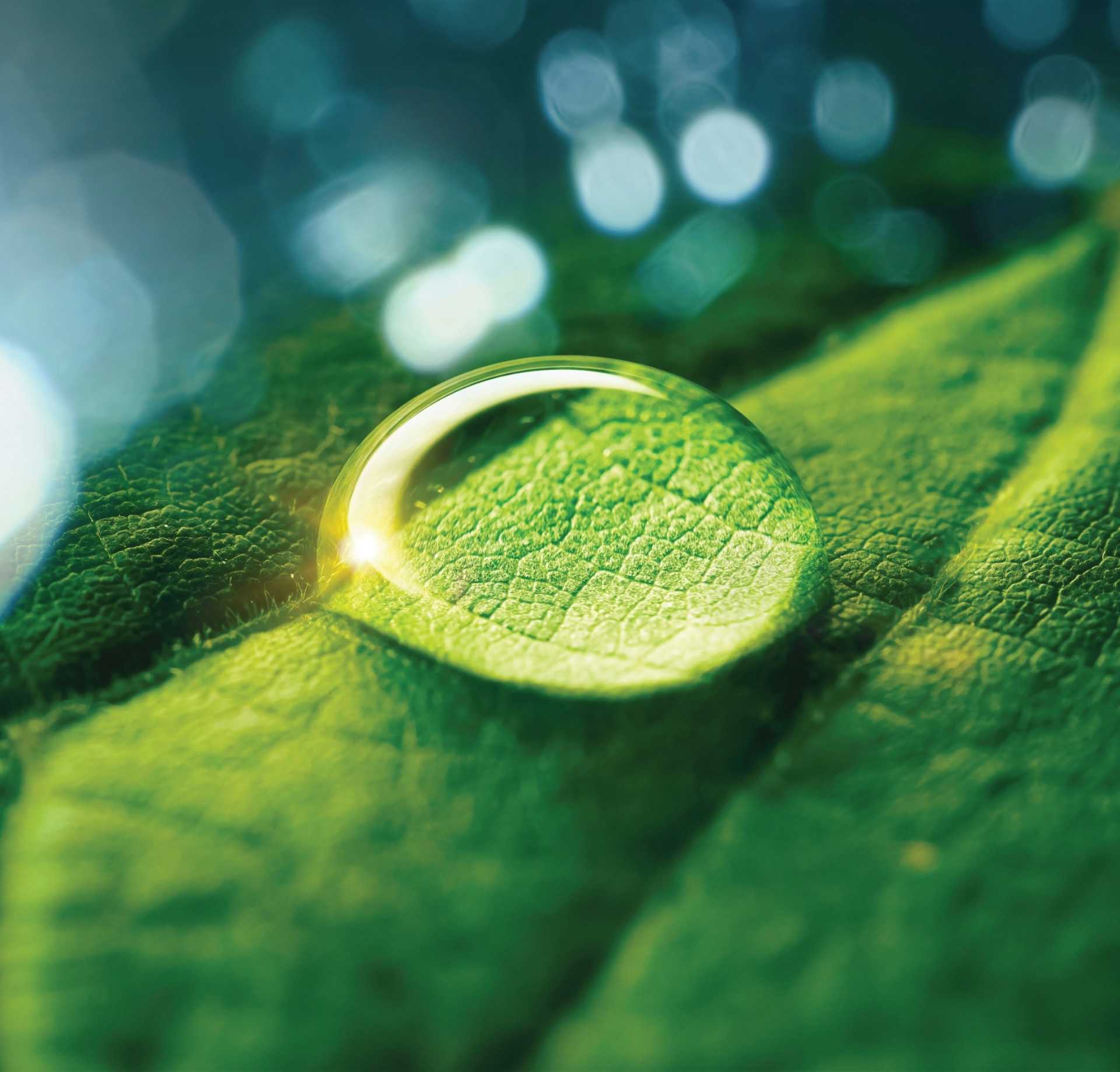 #Positive Agriculture