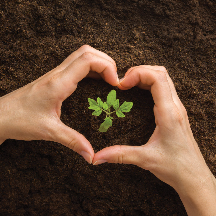 #Καλλιεργούμε_Αλλιώς